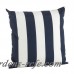 Beachcrest Home Outdoor Pillow Stripe Indoor/Outdoor Throw Pillow BCHH6725